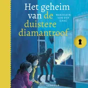 Omslag van Het geheim van de duistere diamantroof