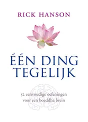 Omslag van Een ding tegelijk