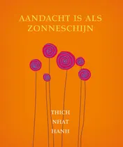 Omslag van Aandacht is als zonneschijn