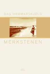 Omslag van Merkstenen