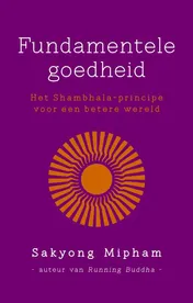 Omslag van Fundamentele goedheid