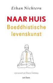 Omslag van Naar huis