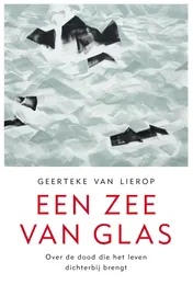 Omslag van Een zee van glas