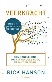 Omslag van Veerkracht