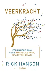 Omslag van Veerkracht