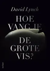 Omslag van Hoe vang je de grote vis?