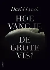 Omslag van Hoe vang je de grote vis?