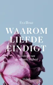 Omslag van Waarom liefde eindigt
