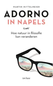 Omslag van Adorno in Napels