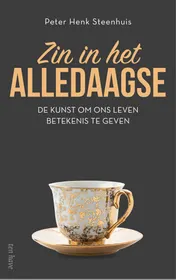 Omslag van Zin in het alledaagse