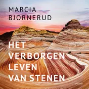Omslag van Het verborgen leven van stenen