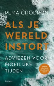 Omslag van Als je wereld instort