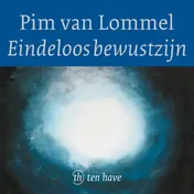 Omslag van Eindeloos bewustzijn