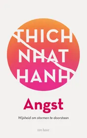 Omslag van Angst