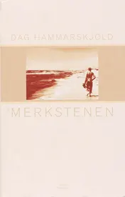 Omslag van Merkstenen