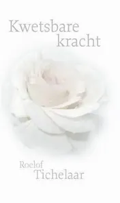 Omslag van Kwetsbare kracht