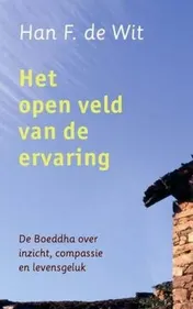 Omslag van Het open veld van de ervaring