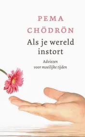 Omslag van Als je wereld instort