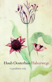 Omslag van Halverwege