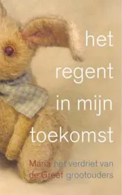 Omslag van Het regent in mijn toekomst