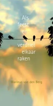 Omslag van Als feest en verdriet elkaar raken