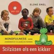 Omslag van Stilzitten als een kikker