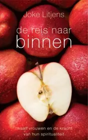 Omslag van De reis naar binnen