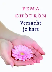 Omslag van Verzacht je hart