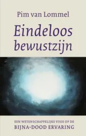 Omslag van Eindeloos bewustzijn