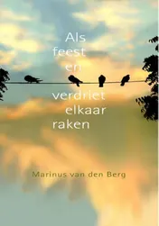 Omslag van Als feest en verdriet elkaar raken