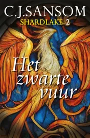 Omslag van Het zwarte vuur