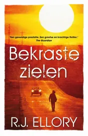 Omslag van Bekraste zielen