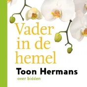 Omslag van Vader in de hemel