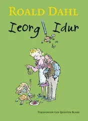 Omslag van Ieorg Idur