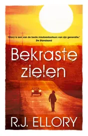 Omslag van Bekraste zielen