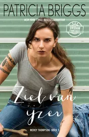 Omslag van Ziel van ijzer