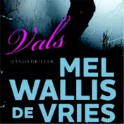 Omslag van Vals