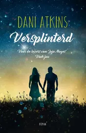 Omslag van Versplinterd
