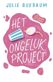 Omslag van Het ongelukproject