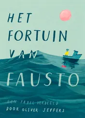Omslag van Het fortuin van Fausto