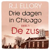 Omslag van De zus