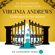 Omslag van Geheimen in het duister