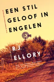 Omslag van Een stil geloof in engelen