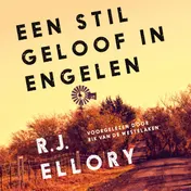 Omslag van Een stil geloof in engelen