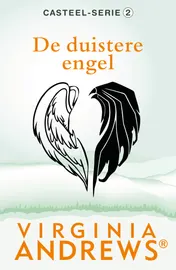 Omslag van De duistere engel