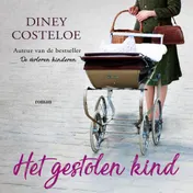 Omslag van Het gestolen kind