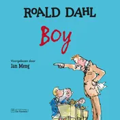 Omslag van BOY