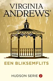 Omslag van Een bliksemflits