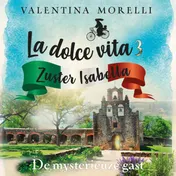 Omslag van De mysterieuze gast