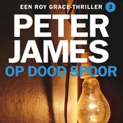Omslag van Op dood spoor